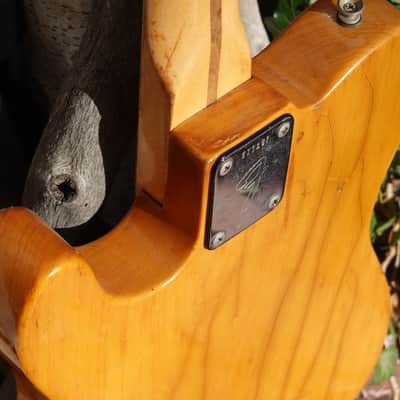 1972 Fender Telecaster with Maple Fretboard image 13