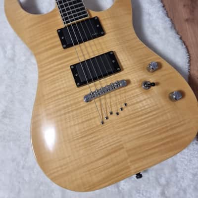 Washburn X 50 2007 Natural Flame Maple image 2