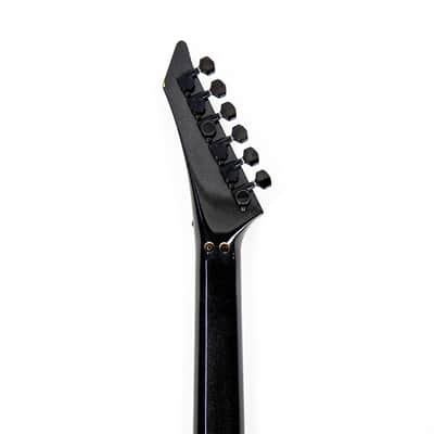 Duncan Quatro Owned by Nancy Wilson of Heart image 12