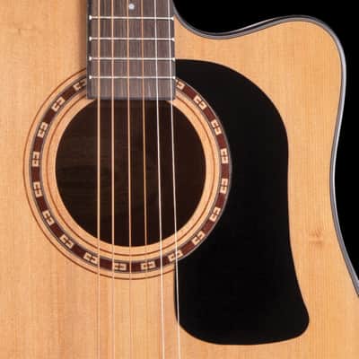 Washburn AD5CEPACK-A | Acoustic / Electric Dreadnought Guitar with Gigbag, Strap, Picks image 3