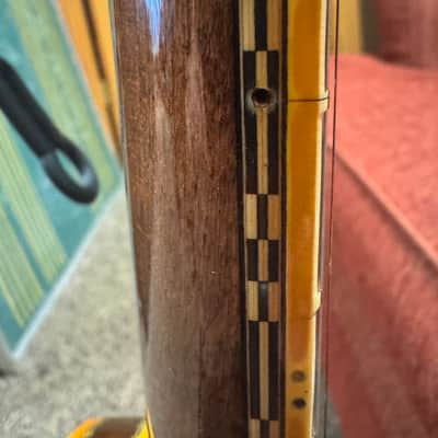 Ibanez Artist Banjo Tree of Life Model 593 1970s image 11
