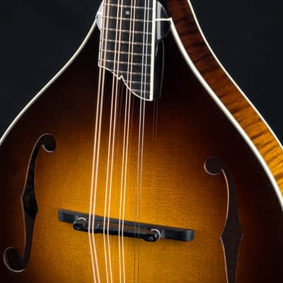 Collings MT2 Mandola Sunburst Adirondack Spruce and Flamed Maple NEW image 8