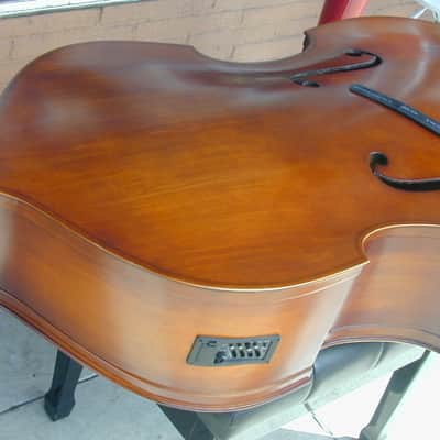 Berkeley 4,5 String Folding Jazz Bass EQ/PU image 2