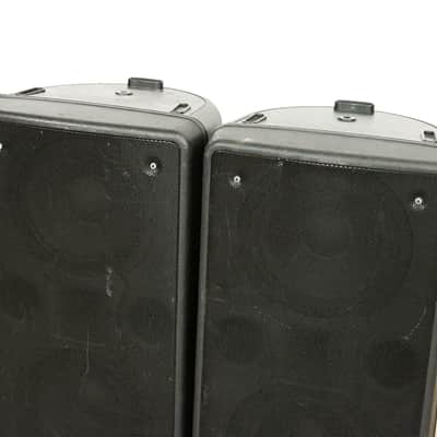 dBTechnologies Twin 128 Active 2-Way Stage Monitor (PAIR) CG0144S image 2
