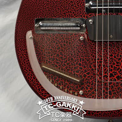 JERRY JONES GUITARS Electric Sitar image 3