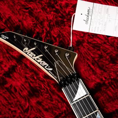 Jackson Custom Shop USA SL2H Pile Of Skulls Dan Lawrence - LEFTY