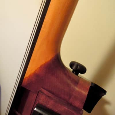 Alter Ego BASSO, hollow-body upright bass image 11