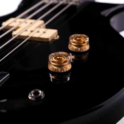 Washburn SB4 Wing Series Scavenger Bass w/Gigbag image 2