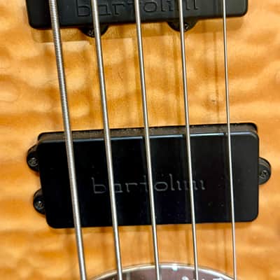 Lakland USA 55-94 Deluxe 5-String Bass – Quilted Maple – Birdseye Maple – Bartolini – G&G Case image 6