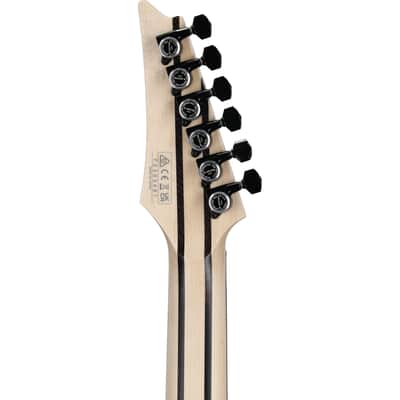 Ibanez RGD3121 Prestige Electric Guitar, Polar Lights Flat, Open Box (Very Good) image 8