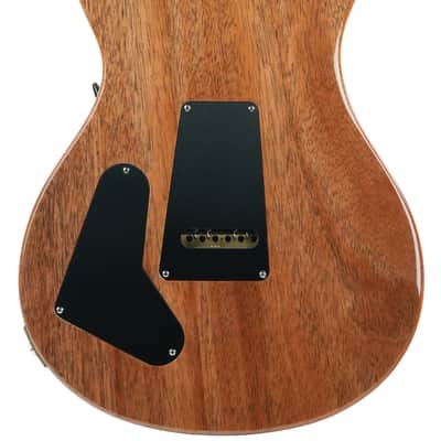 PRS Special 22 Semi Hollow Tiger Eye image 8