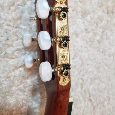 Takamine No.6 in 1988 image 17
