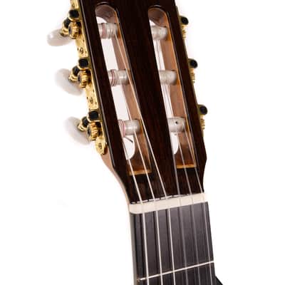 Estevé Alegria - All solid wood - Lattice Braced, Spruce/Indian Rosewood image 4