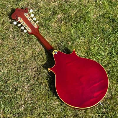 1969 Gibson A-5 Mandolin Jethro Burns - Sunburst image 7
