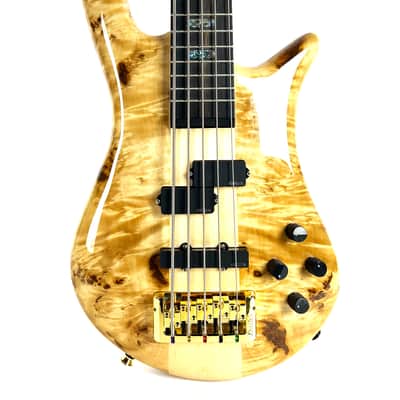 Spector Euro CST 5st. 2026 - Gloss Natural image 2