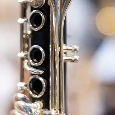 Buffet Crampon R13 Professional Bb Clarinet with Silver Plated Keys image 7