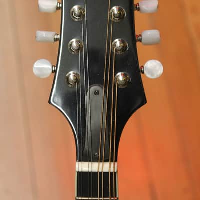 2016 Eastman MD505L – Lefty image 4