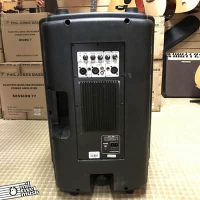 Edison Powered 15" PA Speaker / Monitor image 5