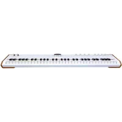 Arturia Astrolab Avant-Garde Stage Keyboard with Analog Lab Pro Integration Bundle with AKG K 240 Studio Professional Semi-Open Stereo Headphones, FP-P1L Sustain Pedal and Keyboard Dust Cover image 3