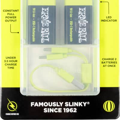 Ernie Ball USB-C Rechargeable Battery by Paleblue - 9V, 2-pack image 5