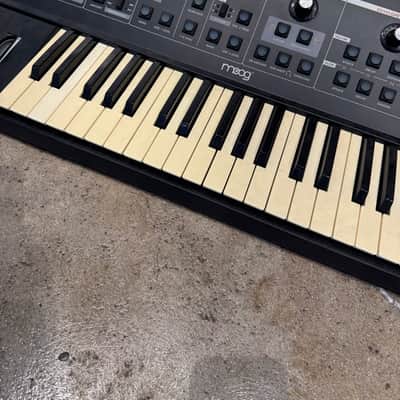 Moog Little Phatty - Tribute Edition 2006 image 3