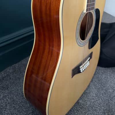 Aria 12 string Dreadnought AW 20 - T - N image 12