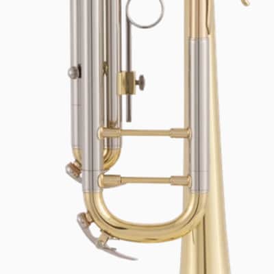 Bach BTR302 Student Trumpet - Clear Lacquer image 6