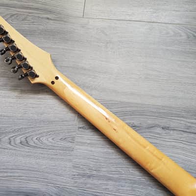 Ibanez Alex Skolnick 540phh image 15