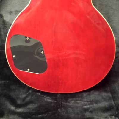 Jay Turser Les Paul Style Electric Guitar image 6