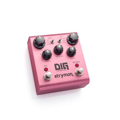 Strymon Dig imagen 2
