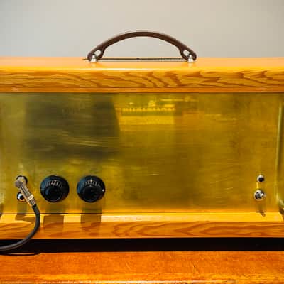 Carrion Slave Amplifier 120 image 2