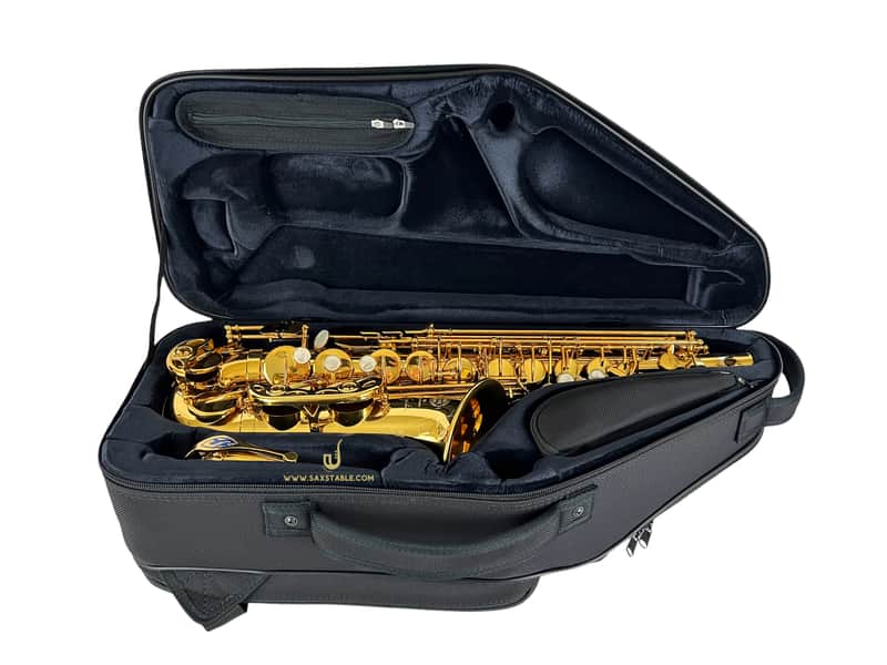 Selmer Paris Signature 82SIG GOLD PLATED Alto Saxophone BRAND NEW IN STOCK! image 1
