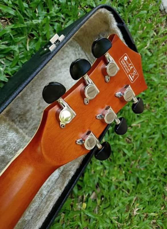 Elioth B305NS
 アコースティック ギター　エリオス Elioth Revolution B-305 NS Solid Spruce Top (Dreadnought) | Reverb