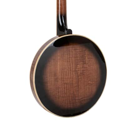 Gold Tone Mastertone&reg OB-250+: Orange Blossom Banjo with JLS #12 Tone Ring with Case image 13