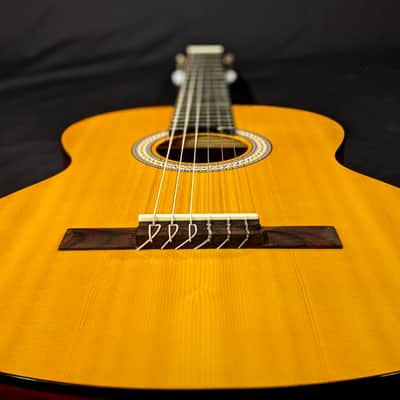 Walden N350 Classical Guitar image 7