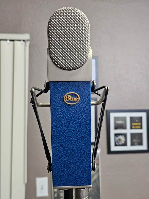 Blue Blueberry Microphone | Reverb