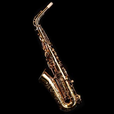 Selmer Paris 82SIGF HSP Professional Alto Saxophone, Vintage Matte image 7