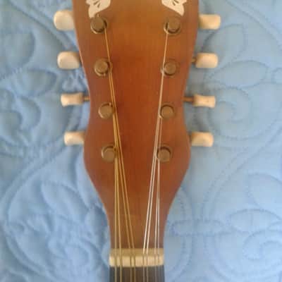 Gretsch A model Mandolin 1940's Natural image 9