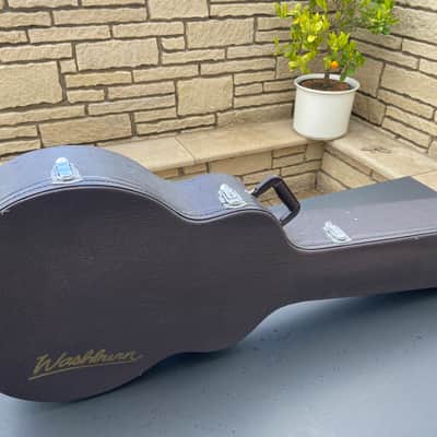 Washburn AB 35 image 16