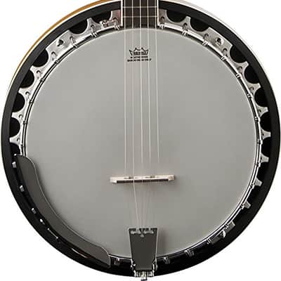 Washburn B9 Series 5-String Banjo image 10