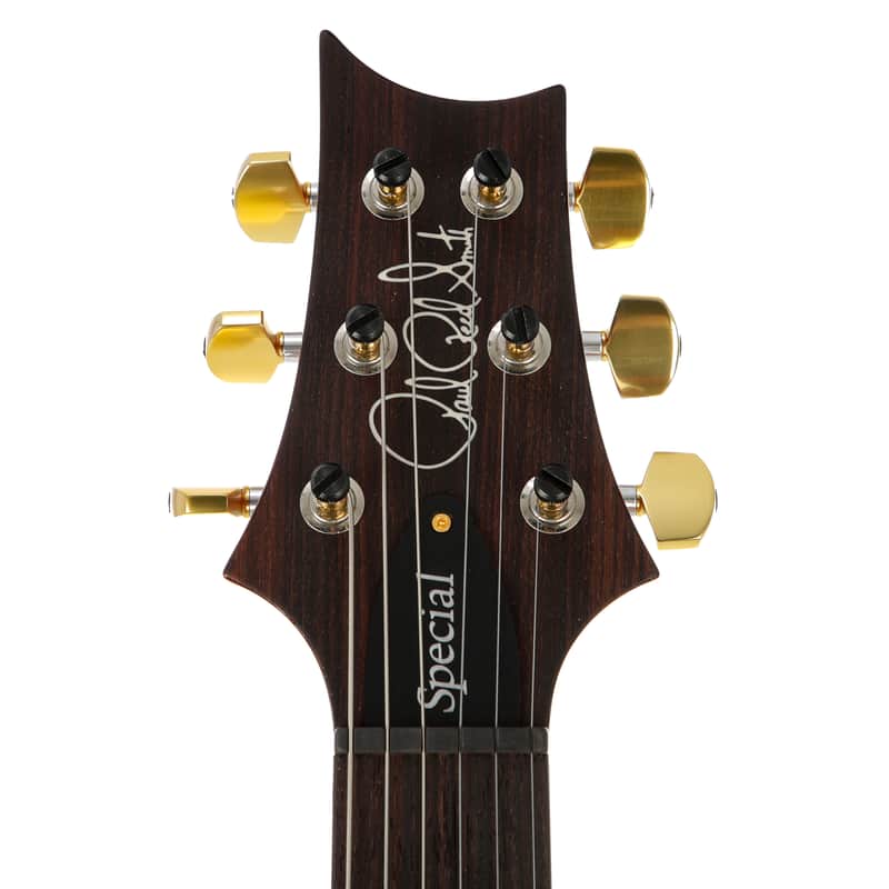 PRS Special 22 Semi-Hollow Limited Edition 10-Top 2018 - 2019 image 3