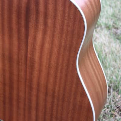 Eastman E1SS Ltd Edition image 19