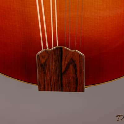 2014 Condino A style Mandolin, Brazilian Rosewood/Adirondack Spruce image 7