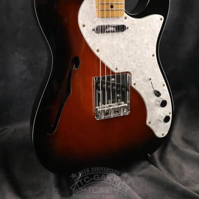 Fender Mexico 1969 Telecaster Thinline image 5