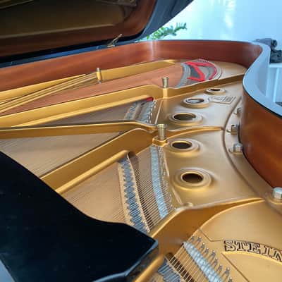 Steinway&Sons Model B 1980 - Nero image 5