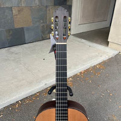 Manuel Rodriguez Model FC India with Hardcase image 3