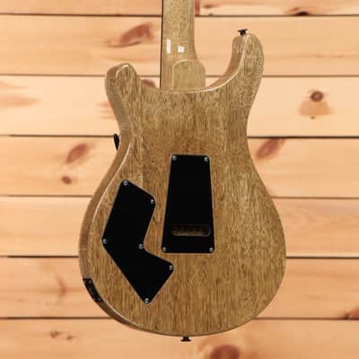 Paul Reed Smith Modern Eagle V Wood Library - Angry Larry - 24 0397738 - PLEK'd image 6