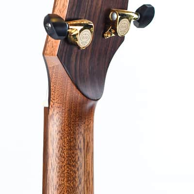 BSG GA45CF Fan Fret Recent image 6