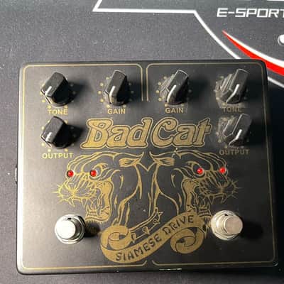 Bad Cat Siamese Drive V1 | Reverb