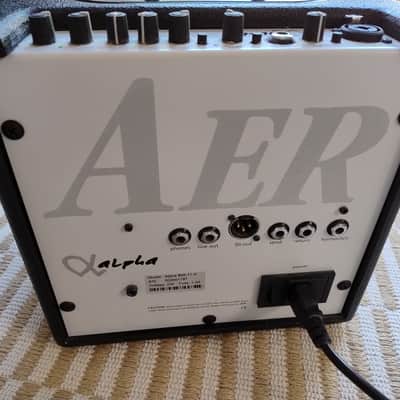 AER Alpha 2-Channel 40-Watt 1x8" Acoustic Guitar Combo image 5